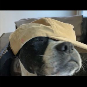 Meet your Posher, Peyton